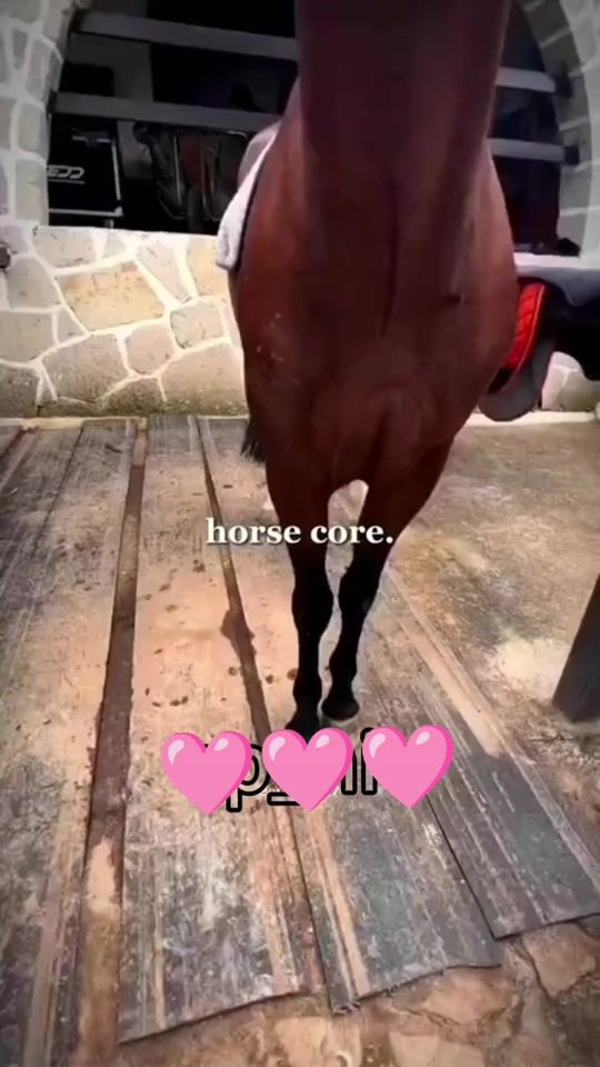TikTok video thumbnail by capucine0727
