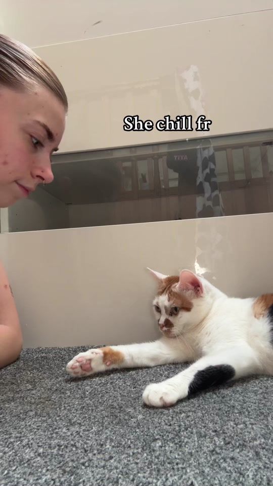 TikTok video thumbnail by amyyhunt