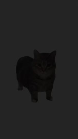 TikTok video thumbnail by jojovr24