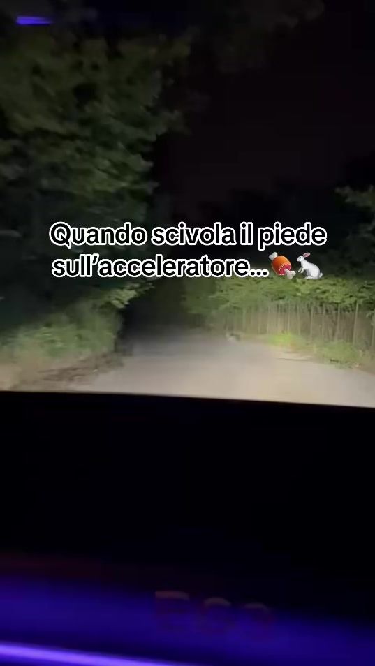 TikTok video thumbnail by 3lio_grimaldi