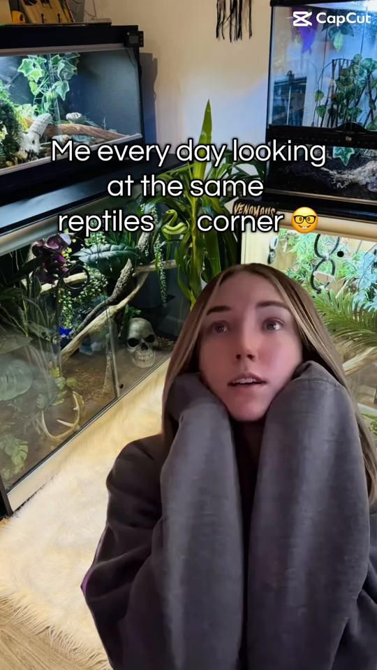 TikTok video thumbnail by reptilescraft