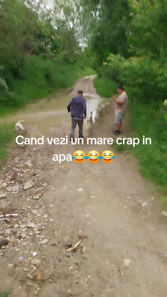 TikTok video thumbnail by alexandru63