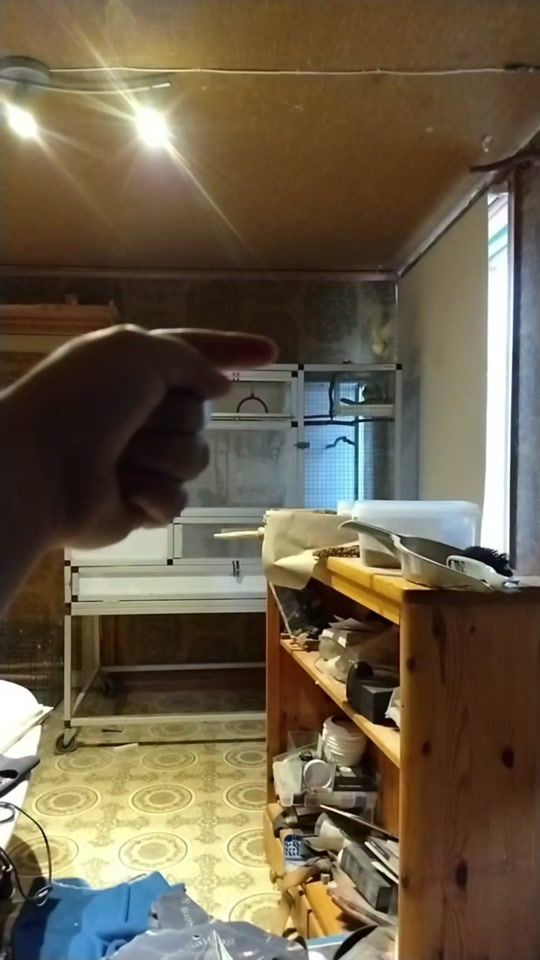 TikTok video thumbnail by kaptenandersson