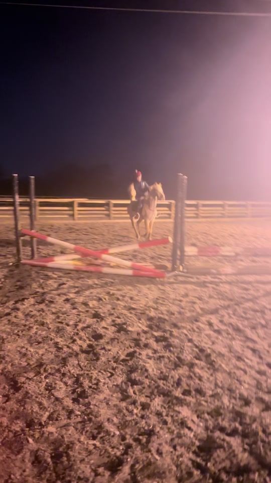 TikTok video thumbnail by your_fav_equestrian4