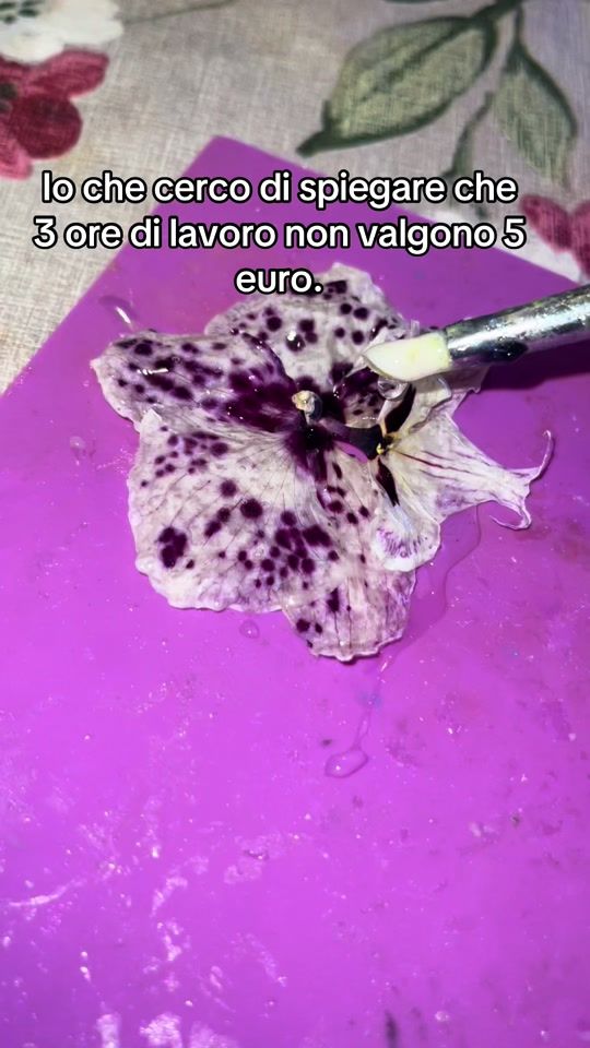 TikTok video thumbnail by le_monde_de_zairiel