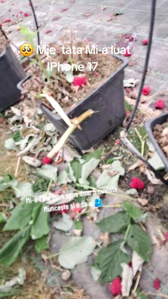 TikTok video thumbnail by dragos_l.codreanu1
