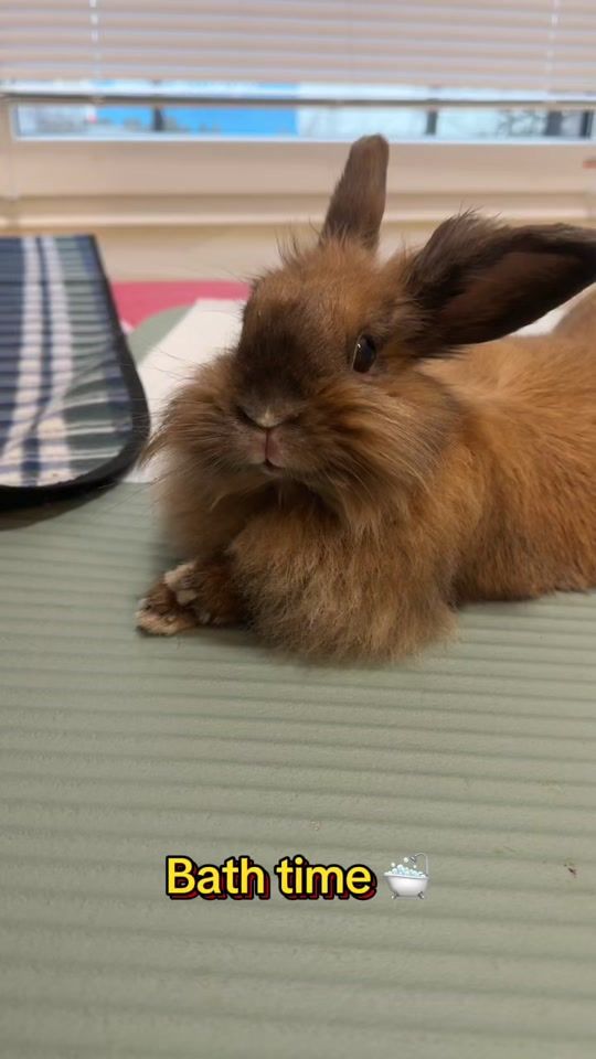 TikTok video thumbnail by bonya.little.prin