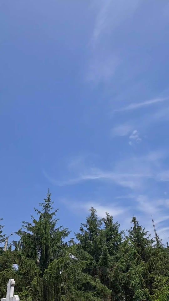 TikTok video thumbnail by romi.romy09