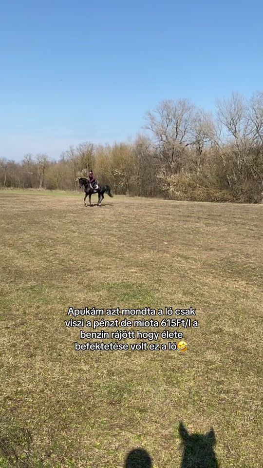 TikTok video thumbnail by _w.sarah._.15