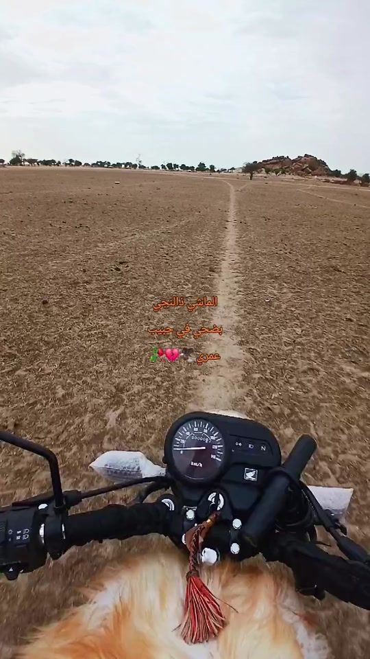 TikTok video thumbnail by user7187368472669