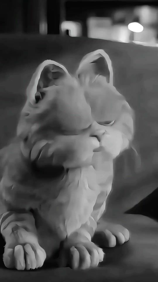 TikTok video thumbnail by ___e.s.r.a.m___
