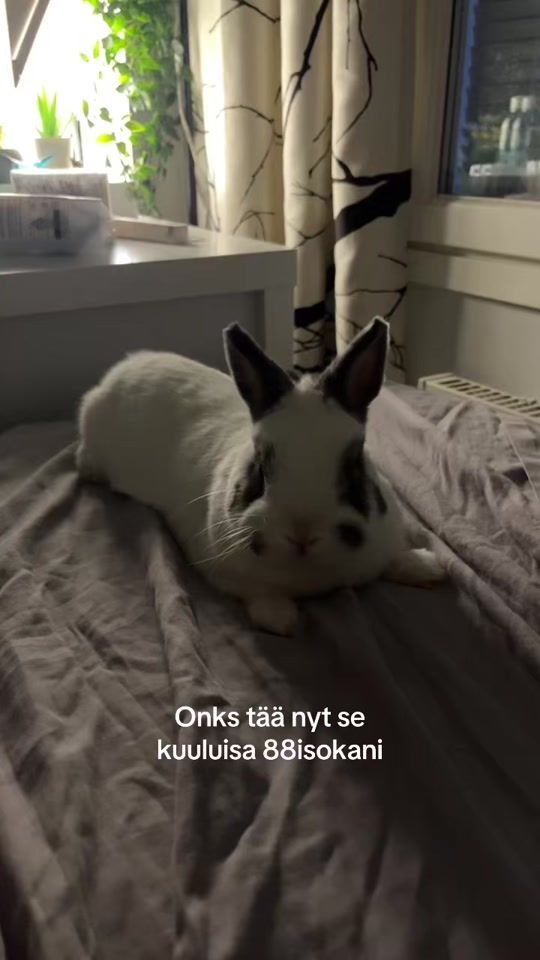 TikTok video thumbnail by nea08155
