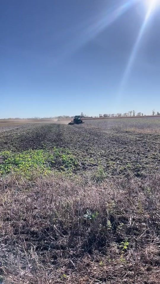 TikTok video thumbnail by agro_calin