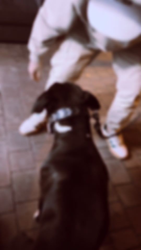 TikTok video thumbnail by copil_problema