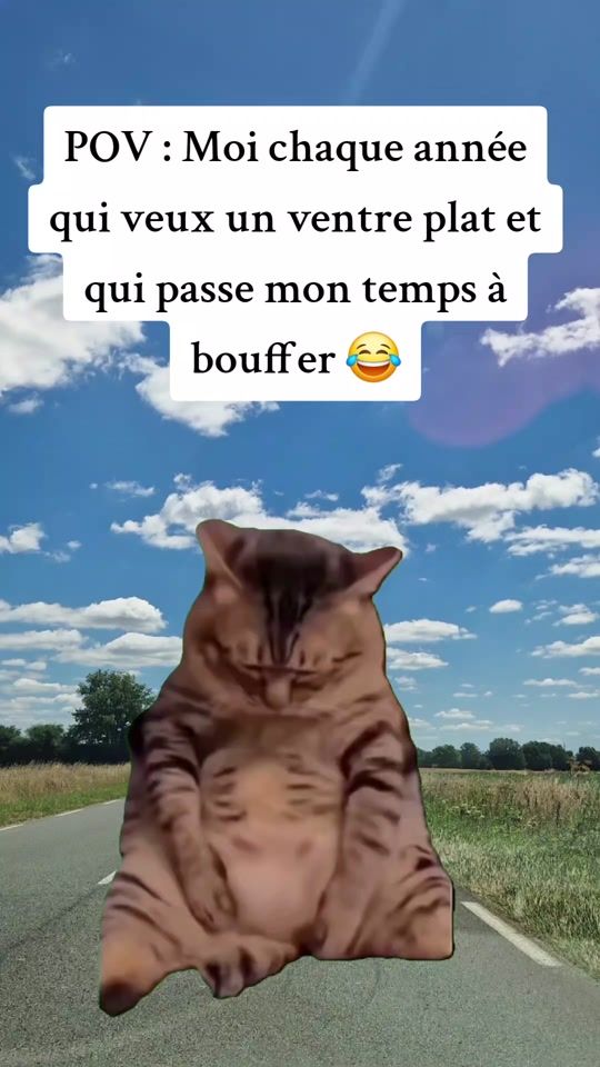 TikTok video thumbnail by sabrina_hrbt