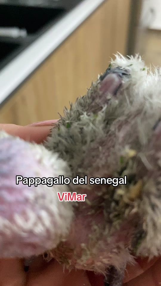 TikTok video thumbnail by mariaimprota09