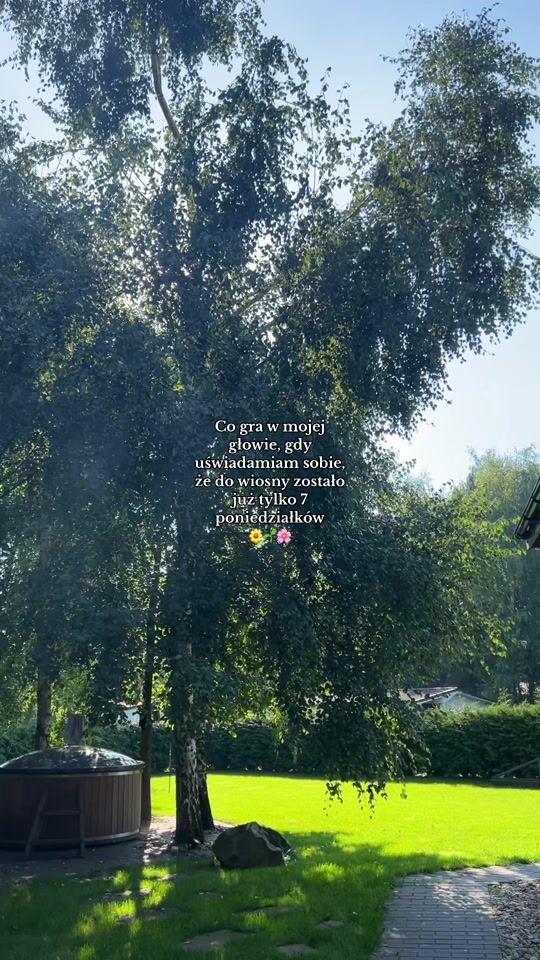 TikTok video thumbnail by royalwene