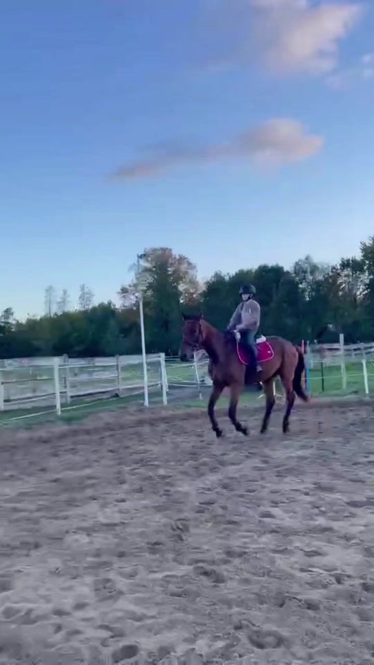 TikTok video thumbnail by madzixx.eq