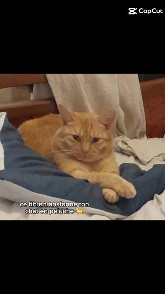 TikTok video thumbnail by fanny_psg