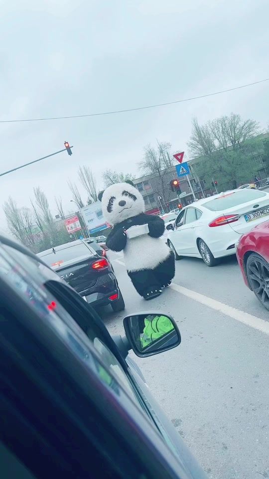 TikTok video thumbnail by bagabontuldemicii