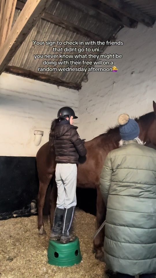 TikTok video thumbnail by equine.elz
