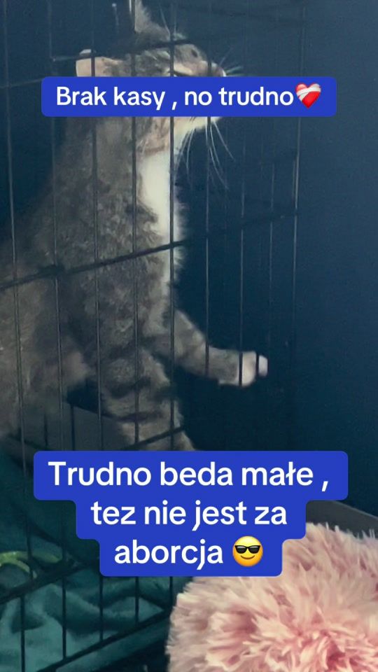 TikTok video thumbnail by bezimiennii