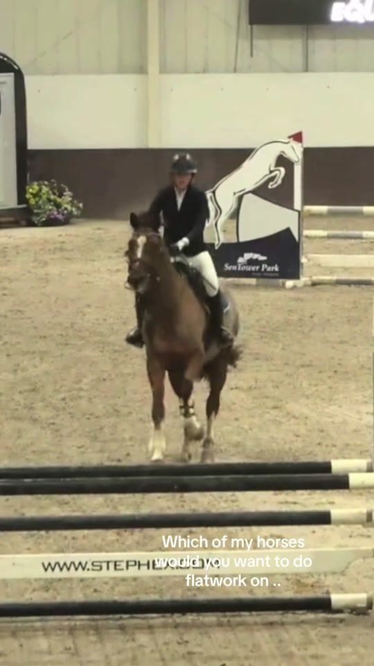 TikTok video thumbnail by scarlettshowjumping0