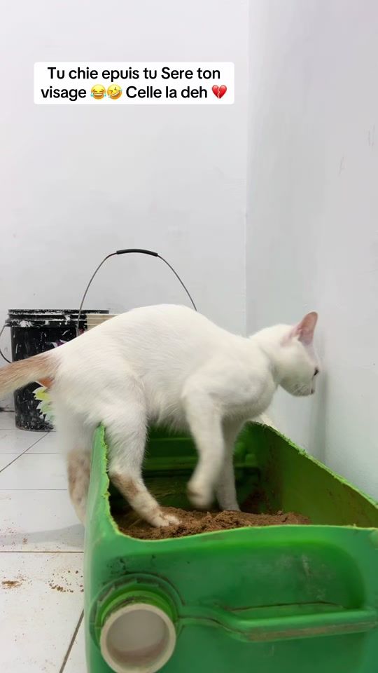 TikTok video thumbnail by traore_nakamura_0