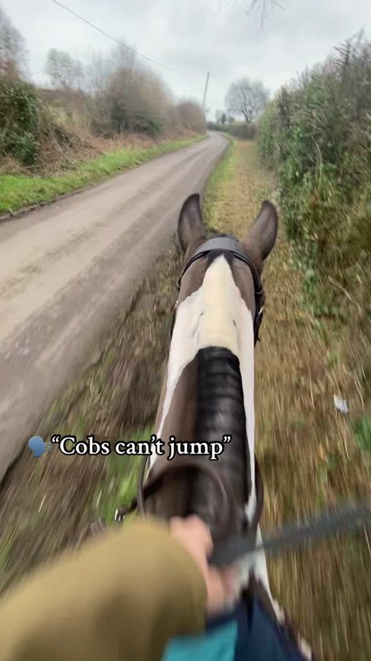 TikTok video thumbnail by eventing_stm