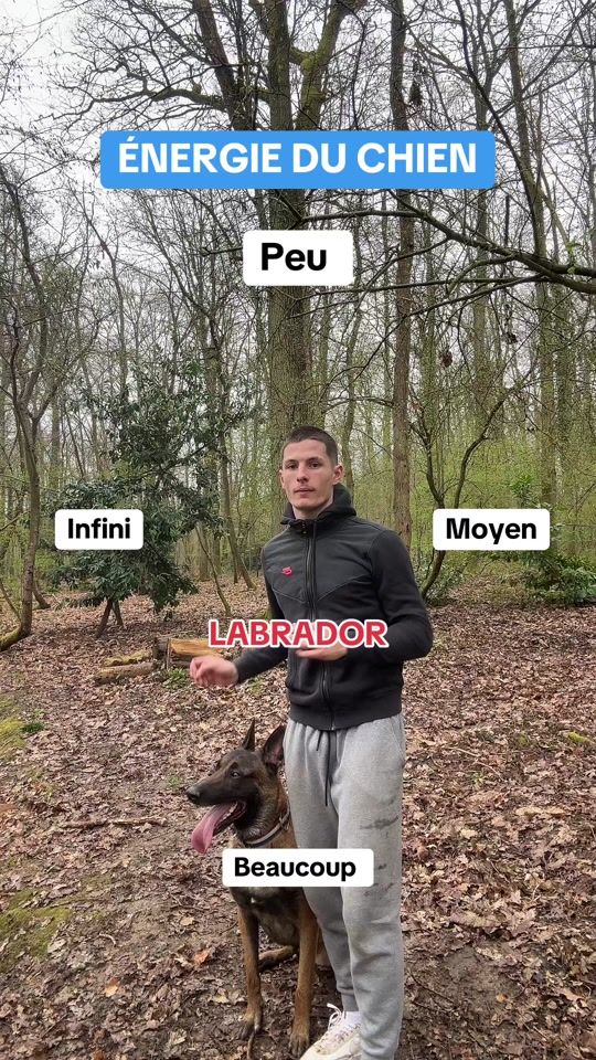 TikTok video thumbnail by seven_et_tom