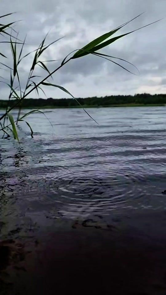 TikTok video thumbnail by norcyme