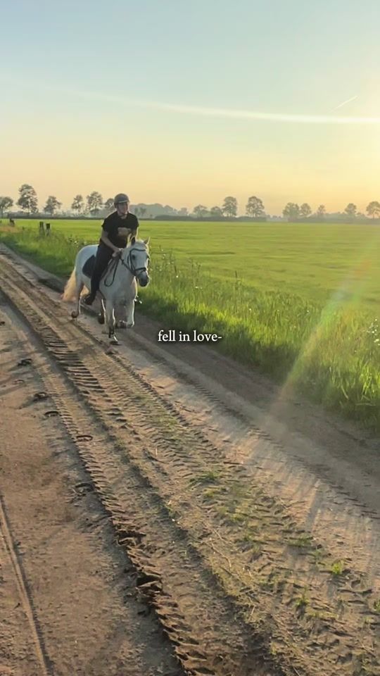 TikTok video thumbnail by mijn.paarden.leven_xx