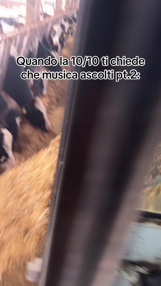 TikTok video thumbnail by _masthen_