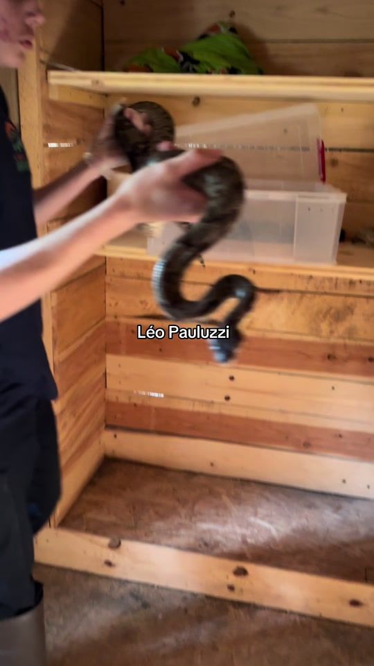 TikTok video thumbnail by leo_agri07
