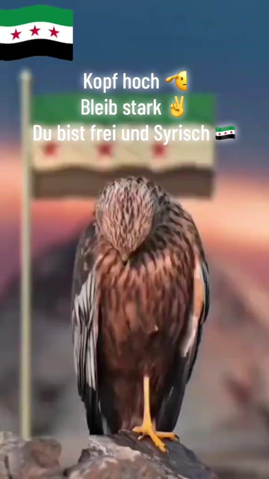 TikTok video thumbnail by tvr.muhanad