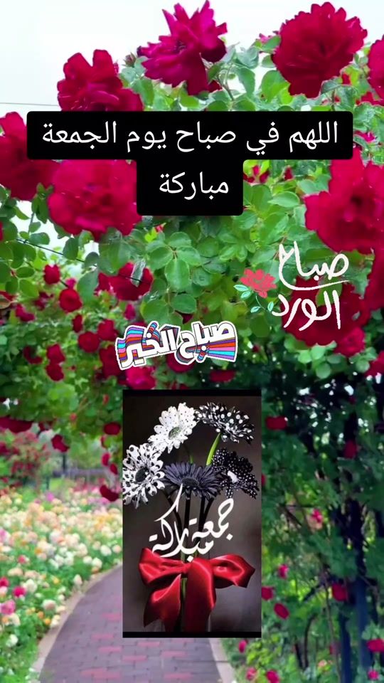 TikTok video thumbnail by nijmah_mohmad