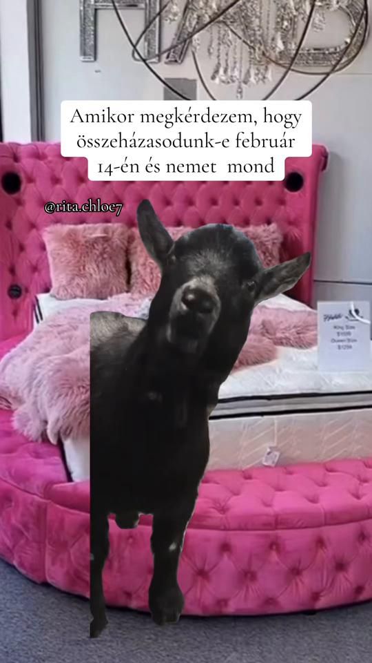TikTok video thumbnail by rita.chloe7