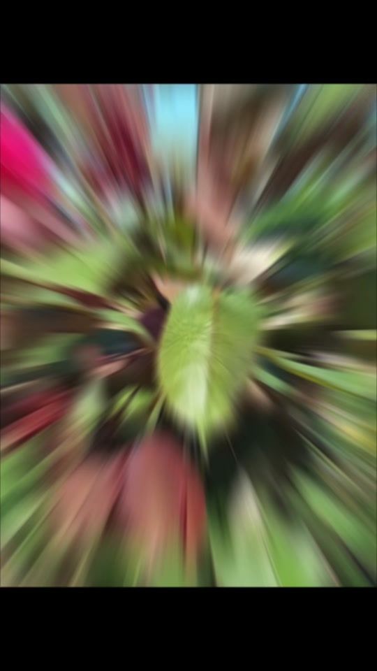 TikTok video thumbnail by user9420869677670