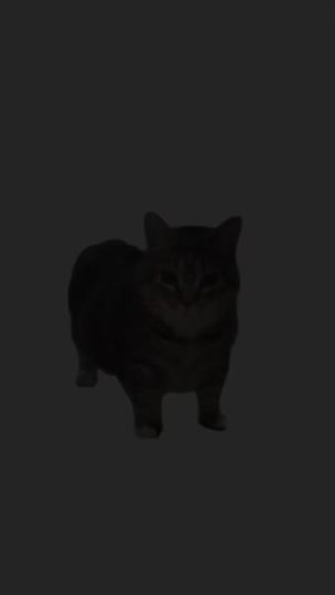 TikTok video thumbnail by harvey.coombs2
