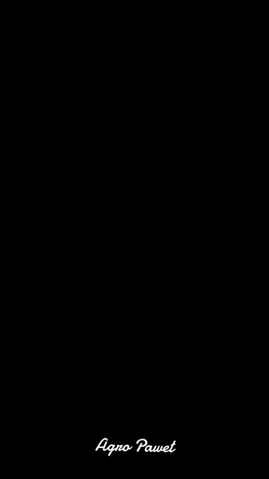 TikTok video thumbnail by agropawel_