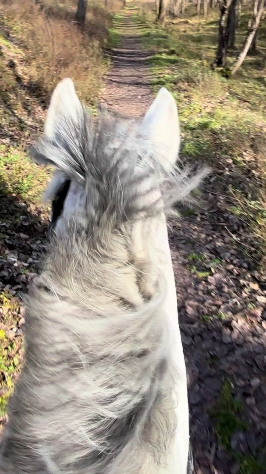 TikTok video thumbnail by missbeckyjo