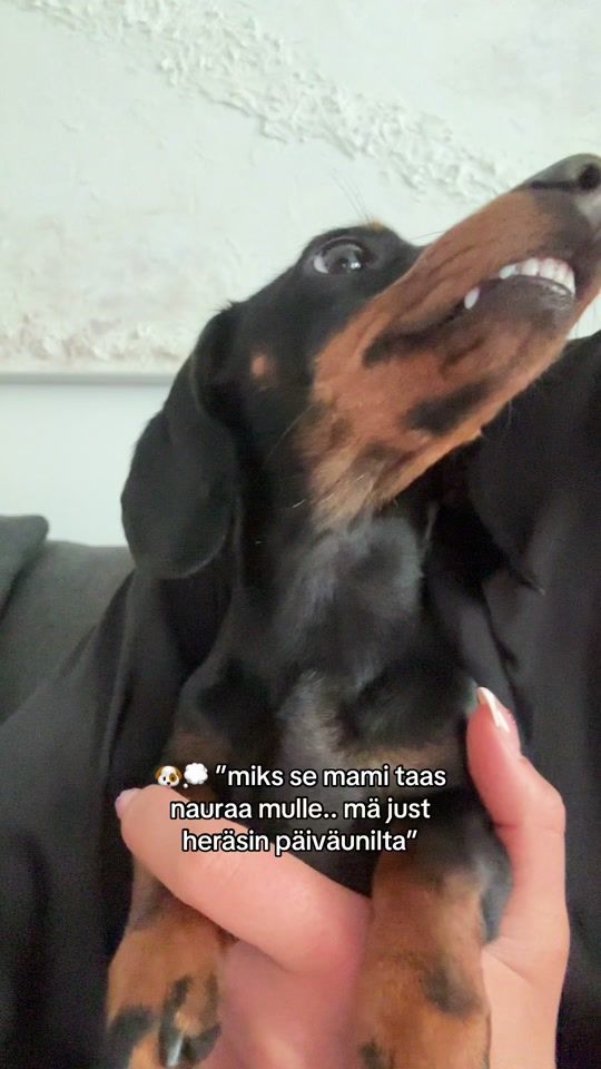 TikTok video thumbnail by neasvaara
