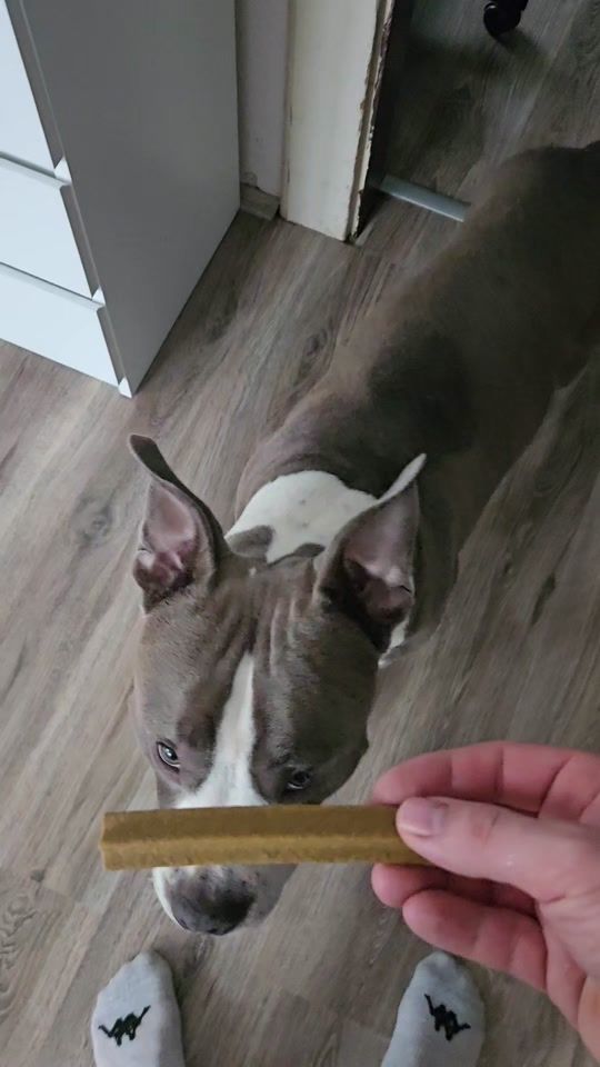 TikTok video thumbnail by _vychty_