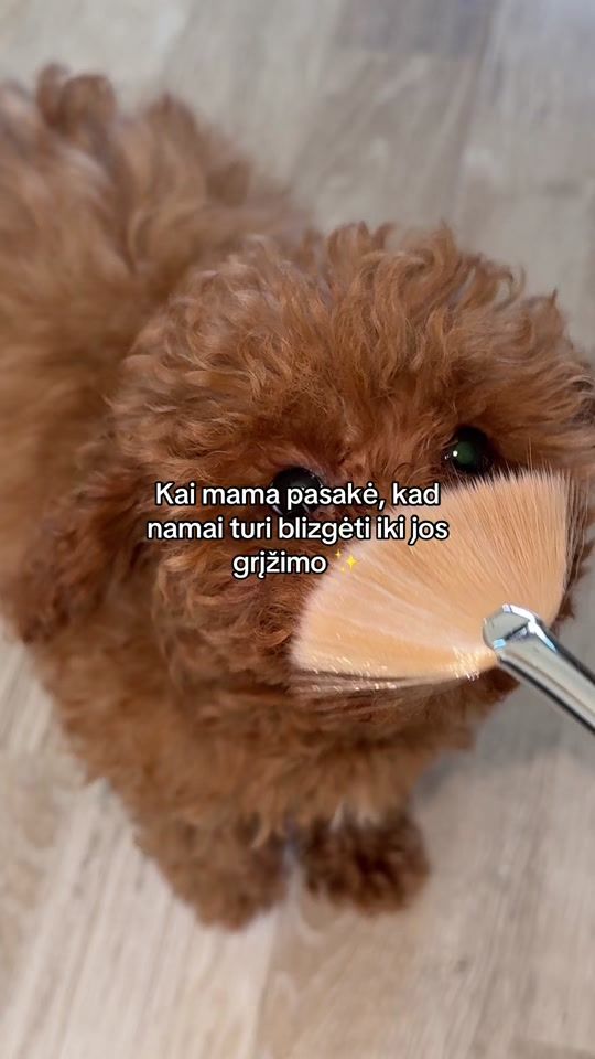 TikTok video thumbnail by milanamuah