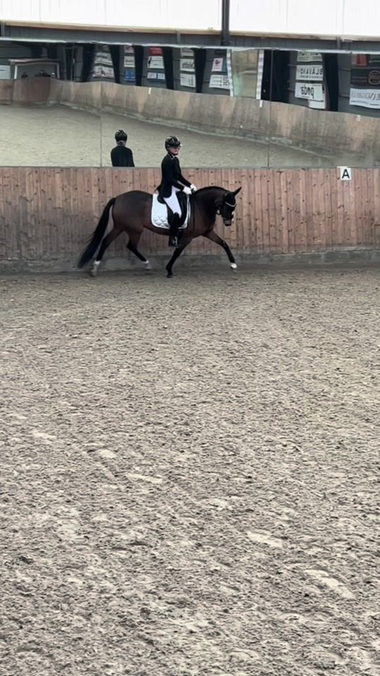 TikTok video thumbnail by et.dressage
