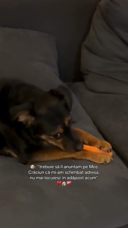 TikTok video thumbnail by denissasimona