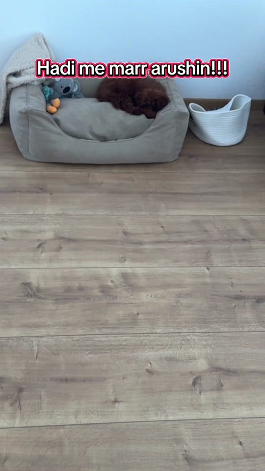 TikTok video thumbnail by valeerjanna