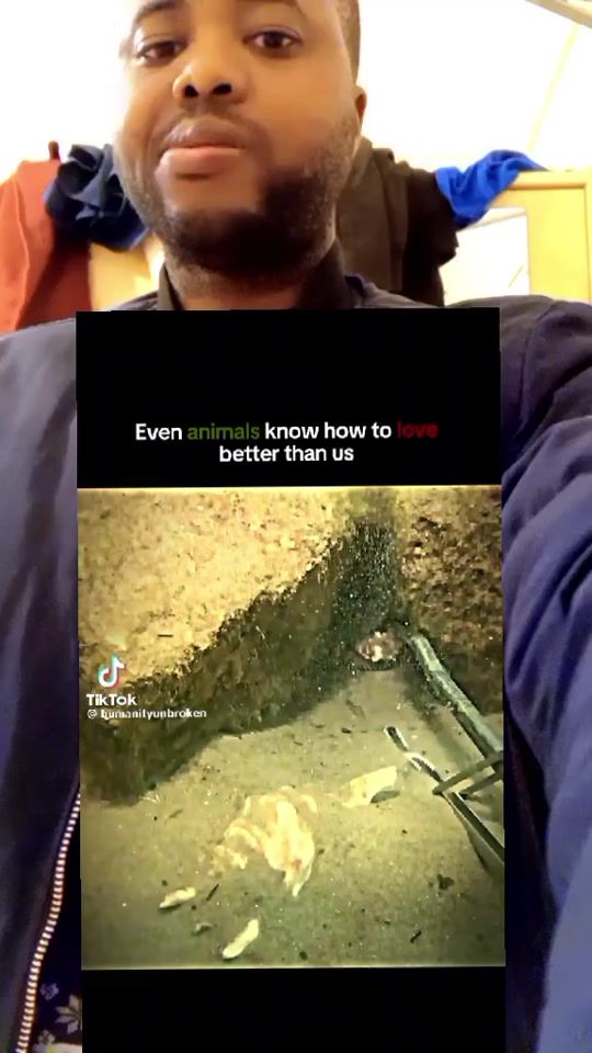 TikTok video thumbnail by serveaukone