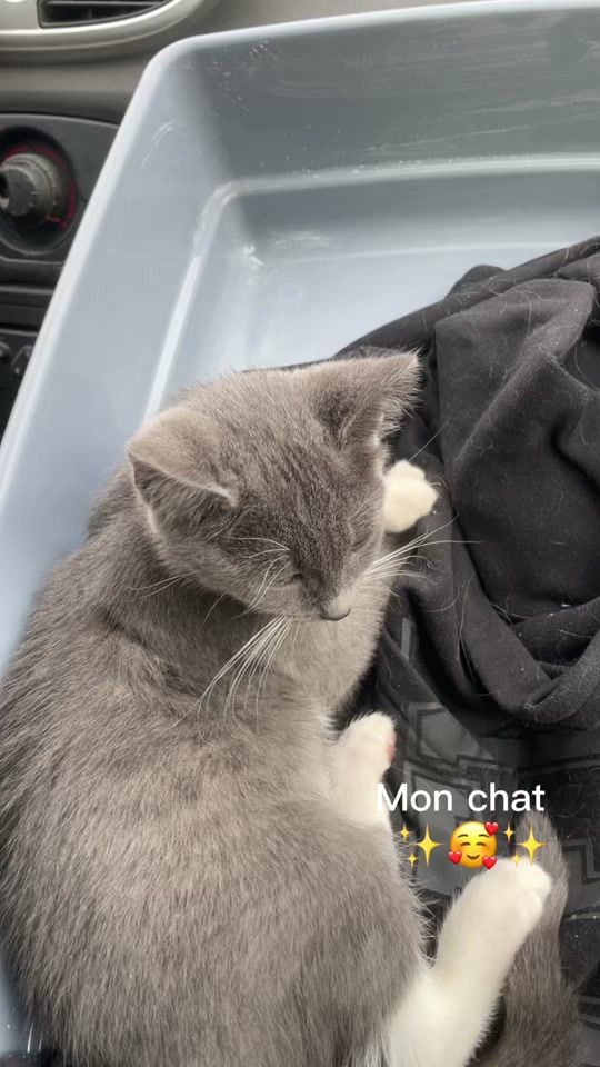 TikTok video thumbnail by wendy.laetitia