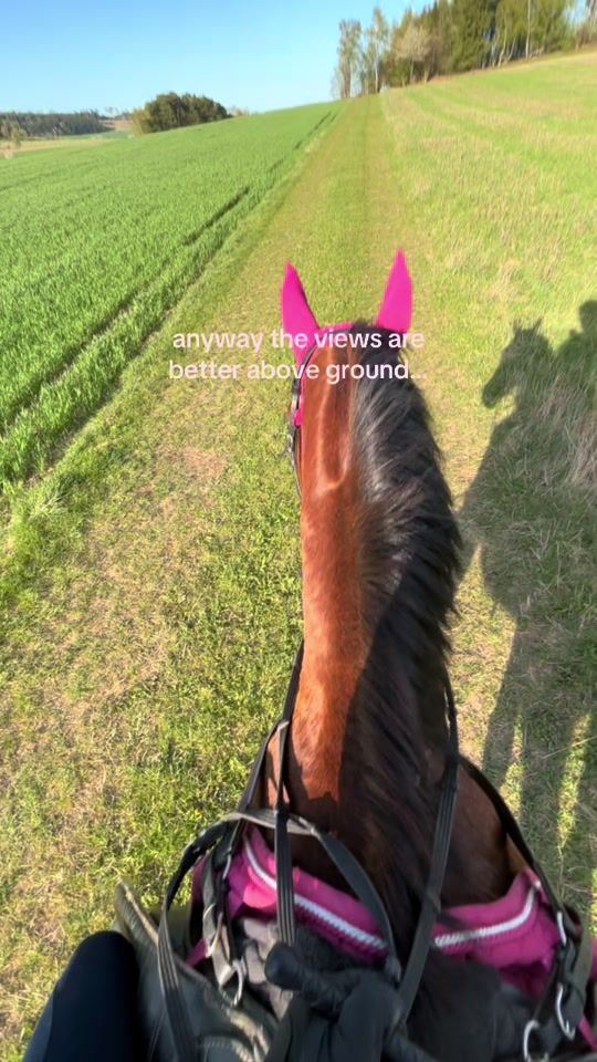 TikTok video thumbnail by j.dudkovq